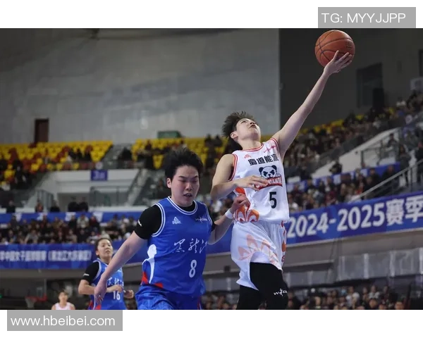 2018年11月20日四川对阵广东篮球赛精彩直播回顾与分析